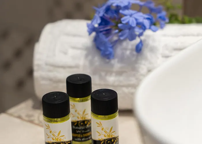 Santa Maria Mare Villa Naousa (Paros)